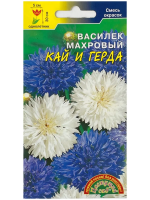 Семена Василек Махровый Кай и Герда Цветущий сад